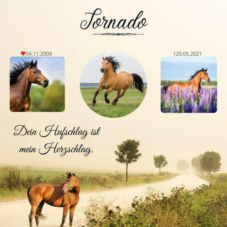 Grabstein für Tiere – personalisiert mit Bild & Namen.