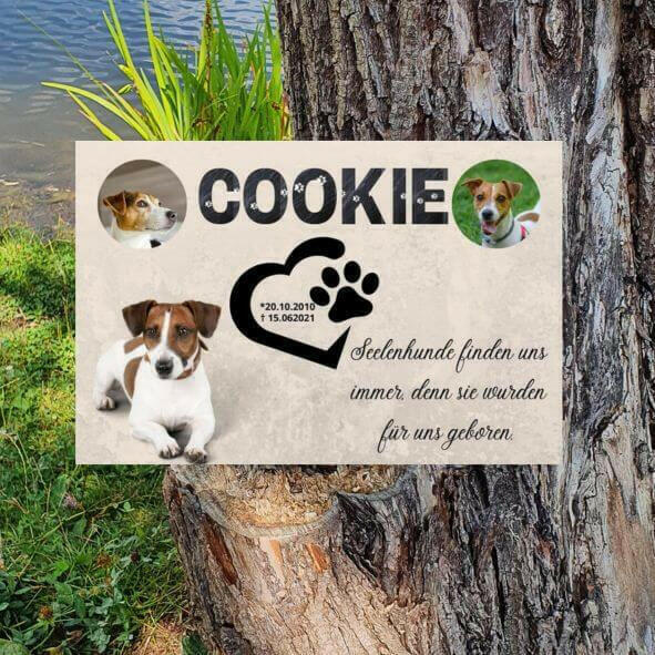 Grabsteine für Hunde und Katzen – mit Fotos, Namen & Wunschtext.