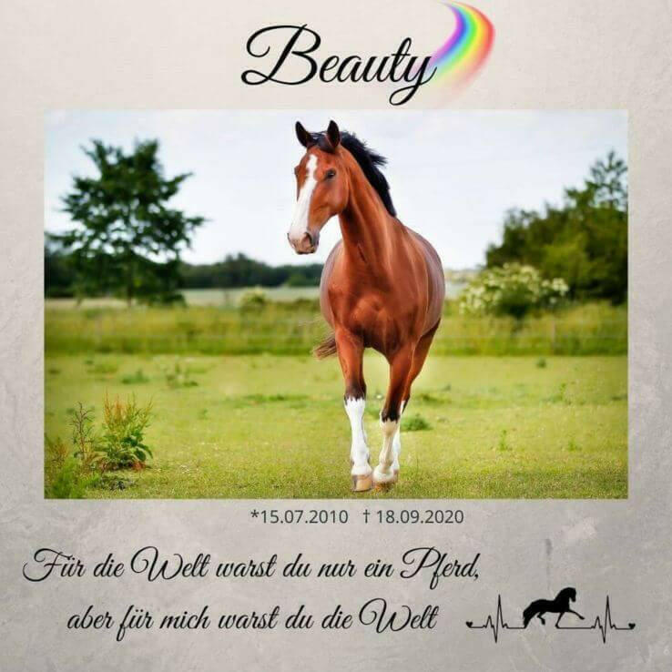 Tiergrabstein aus Alu-Dibond – ein Andenken, das bleibt.