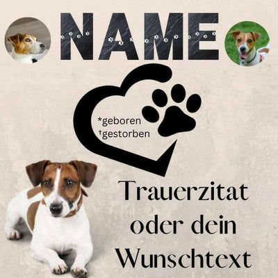 Grabsteine für Hunde und Katzen – mit Fotos, Namen & Wunschtext.