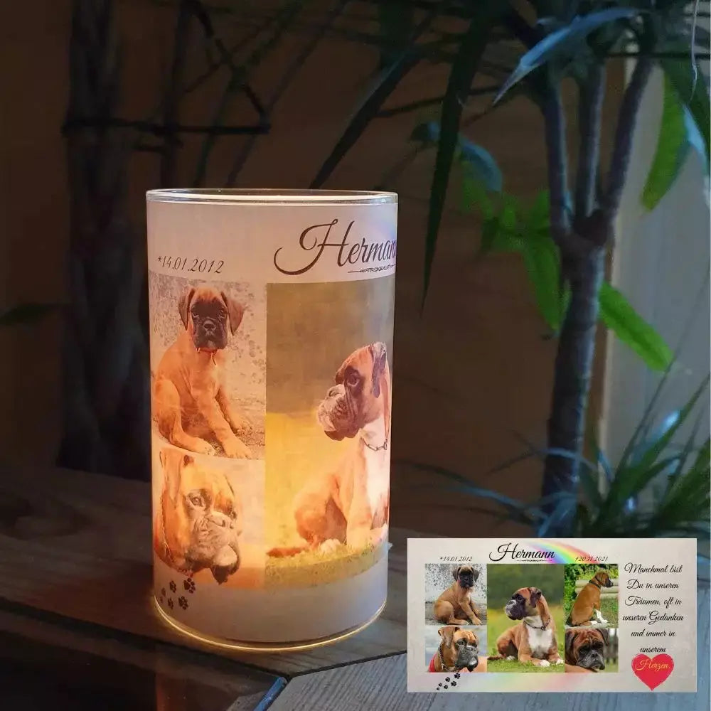 Windlicht mit Haustierbilder. Grablicht personalisiert mit persönlichen Haustierbilder, Name, Geburtstag & Todestag und Trauerzitat. Leuchtendes Teelicht.