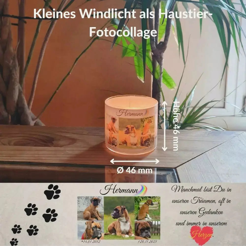 Windlicht selbst gestalten. Trauer Windlicht für Dein Haustier. Teelicht personalisiert mit Haustierbilder, Namen, Information und Trauerzitat.