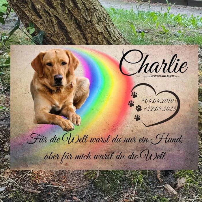 Gedenktafel für einen Hund mit Regenbogen an einem Baum. Der Grabstein enthält den Namen, das Geburts- und Todesdatum sowie ein Foto.