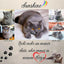 Katzenportrait als Acrylglas Fotos mit Katzenpfoten, personalisierte Daten und Trauerzitat. Auf dem Katzenandenken sind Daten des Katzennamen, Geburtstag und Todestag und Herz.