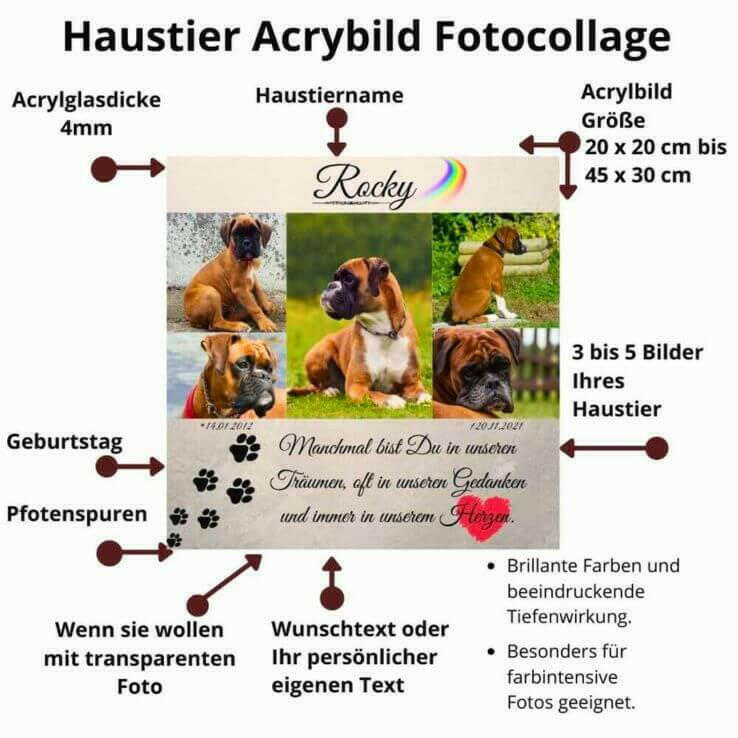 Acrylglas Bild mit Anleitung eines Tierandenkens mit Hundebild. Zu sehen ist die Erklärung der Personalisierung für die Daten des Hundeandenkens, Tierpfoten und einen Wunschtext.