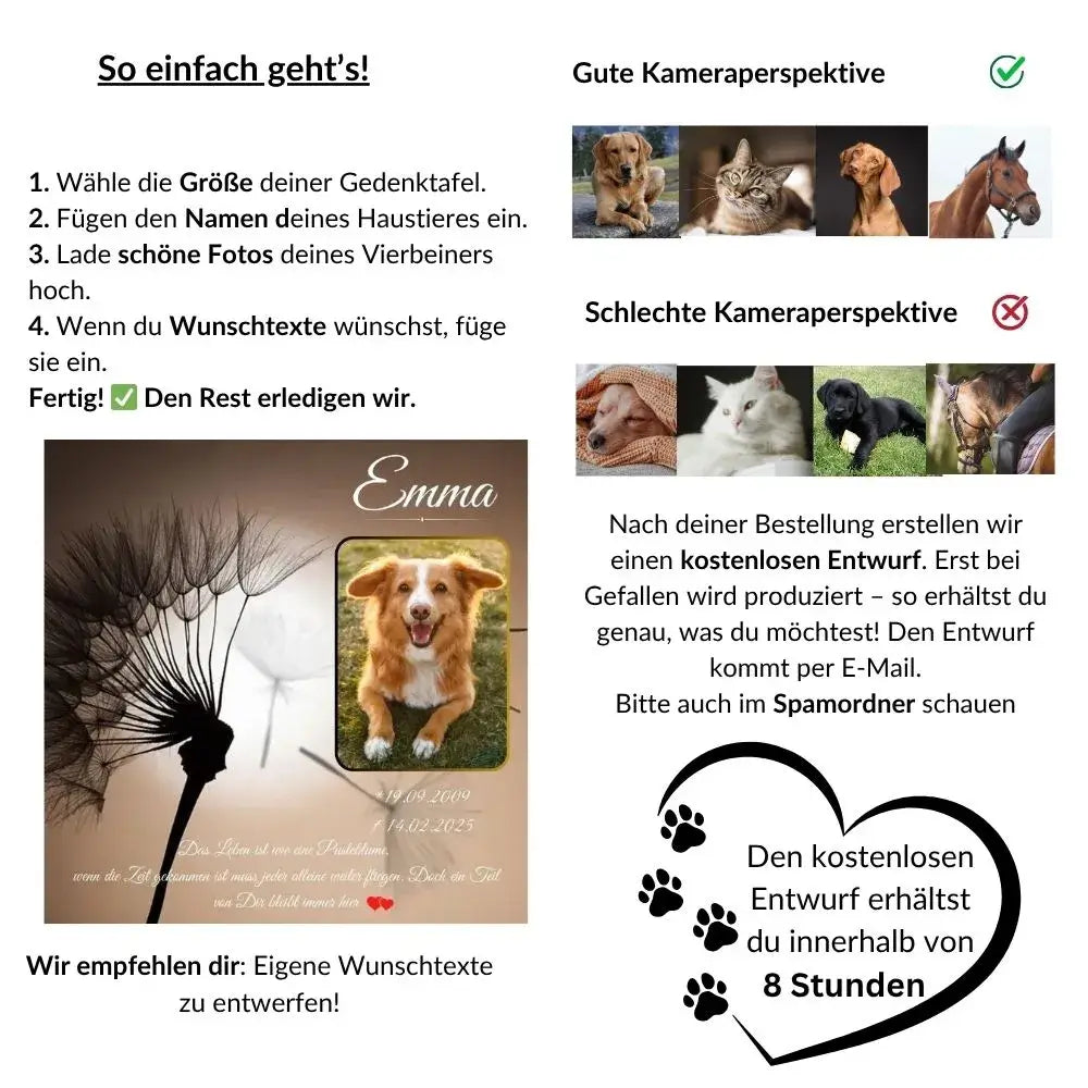 Fototipps und Bestellanleitung für personalisierten Tiergrabstein mit Bildbeispiel und Entwurf-Info