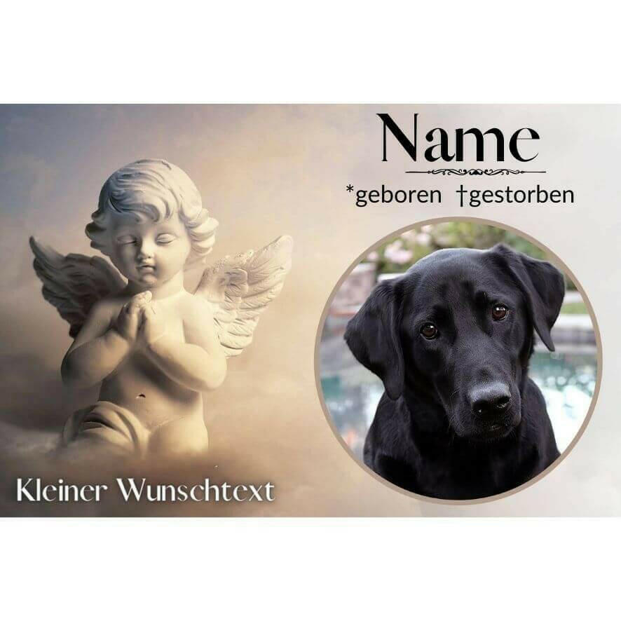 Bild auf Leinwand mit einem schwarzen Labrador. Hundeandenken mit Tierporträt und Engel. Leinwandbild, personalisiert mit Tiernamen und Informationen des verstorbenen Hundes.