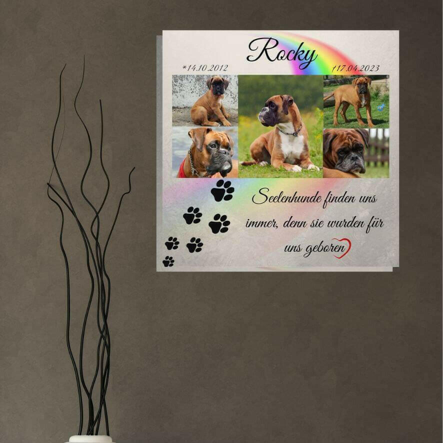 Bilderleinwand als Fotocollage mit Hundebildern, Hundepfoten und Regenbogen. Leinwandbild hängt an einer dunklen Wand und daneben sind Äste in einer Vase.
