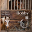 Boxenschild Pferd in Holz-Optik mit Hufeisen-Motiv für den Haflinger Bobby, personalisiert mit Foto und QR-Code