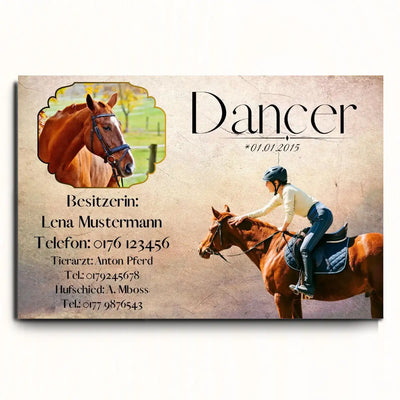 Boxenschild Pferd personalisiert mit Foto und Besitzerangaben für Pferdestall oder Pferdebox
