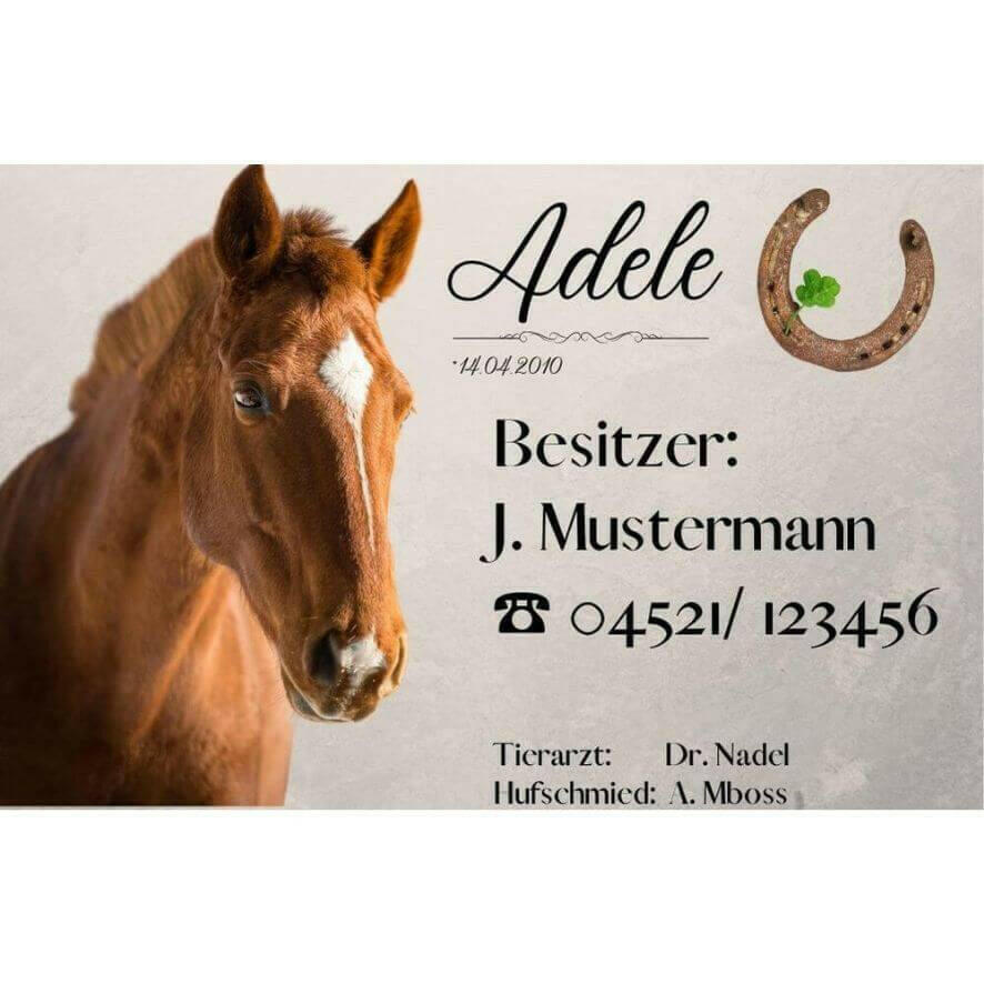 Boxenschilder mit Pferdeportrait. Stalltafeln in Hellgrau mit Hufeisen und Kleeblatt, mit persönlichen Informationen vom Pferd und dessen Besitzer.
