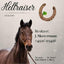 Boxenschild personalisiert mit Pferdeportrait, Tierarzt und Hufschmied. Pferdeschild mit Pferdenamen.