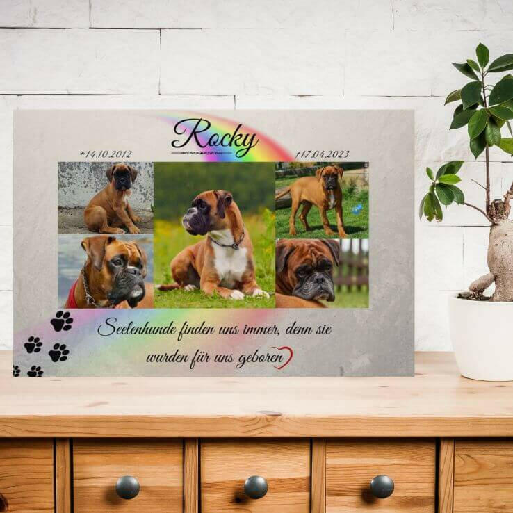 Foto hinter Acrylglas als Hundeandenken auf einem Holzregal mit einer Pflanze. Auf dem Acrylglas Bild ist eine Hunde-Fotocollage, Hundepfoten, Daten und Information.