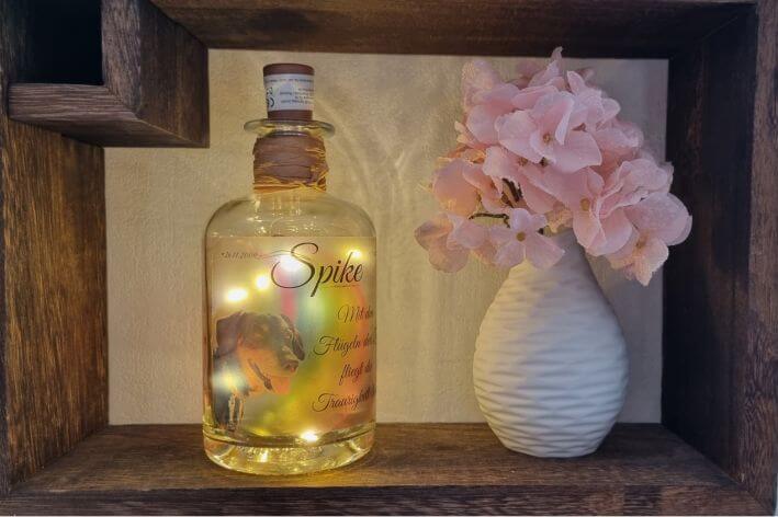 leuchtende Flasche im Regal mit Hund und Text. Daneben steht eine weiße Vase mit Blumen.