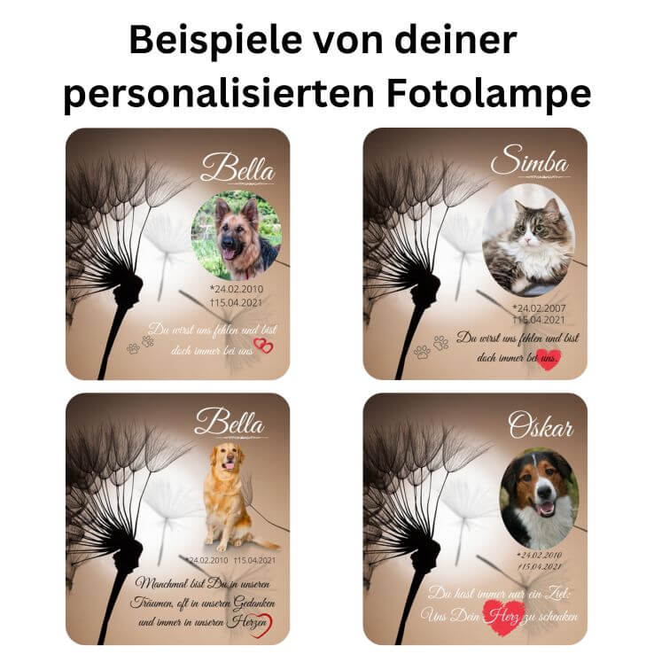 Vier Beispiele einer Tierlampe mit Haustierbilder, Pusteblume, Herzen, Tierpfoten und Herzen.