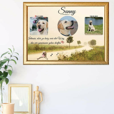 Gedenkbild von Regenbogenspuren, personalisiert mit Hundebilder und Trauertext. Tierandenken hängt mit goldenen Rahmen an einer Wand und daneben stehen Pflanzen.