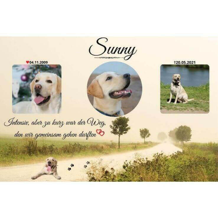 Gedenkbild als Erinnerungsbild von deinem Seelenhund. Wandbild personalisiert von deinem verstorbenen Hund mit Tierbild, Trauertext und Informationen von deinem Vierbeiner.