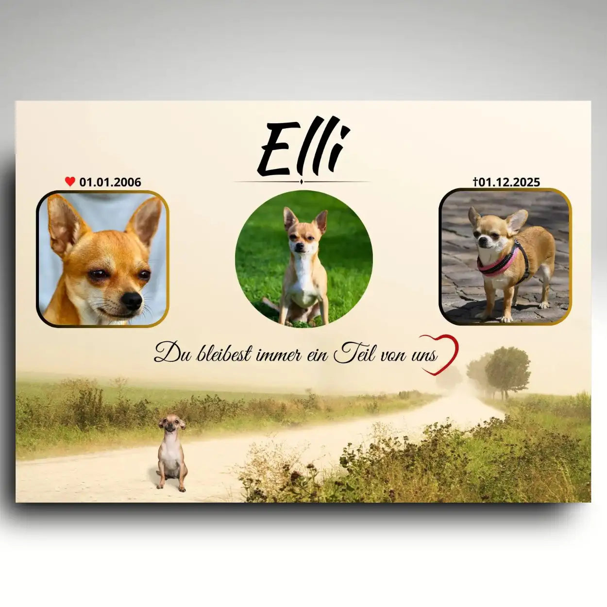 Personalisierte Grabplatte Hund mit 3 Fotos und Spruch wetterfester Tiergrabstein aus Alu Dibond mit Wegmotiv als liebevolles Tier Andenken