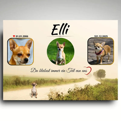Personalisierte Grabplatte Hund mit 3 Fotos und Spruch wetterfester Tiergrabstein aus Alu Dibond mit Wegmotiv als liebevolles Tier Andenken