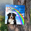 Tiergrabstein mit Regenbogen & Foto – personalisiert & wetterfest.