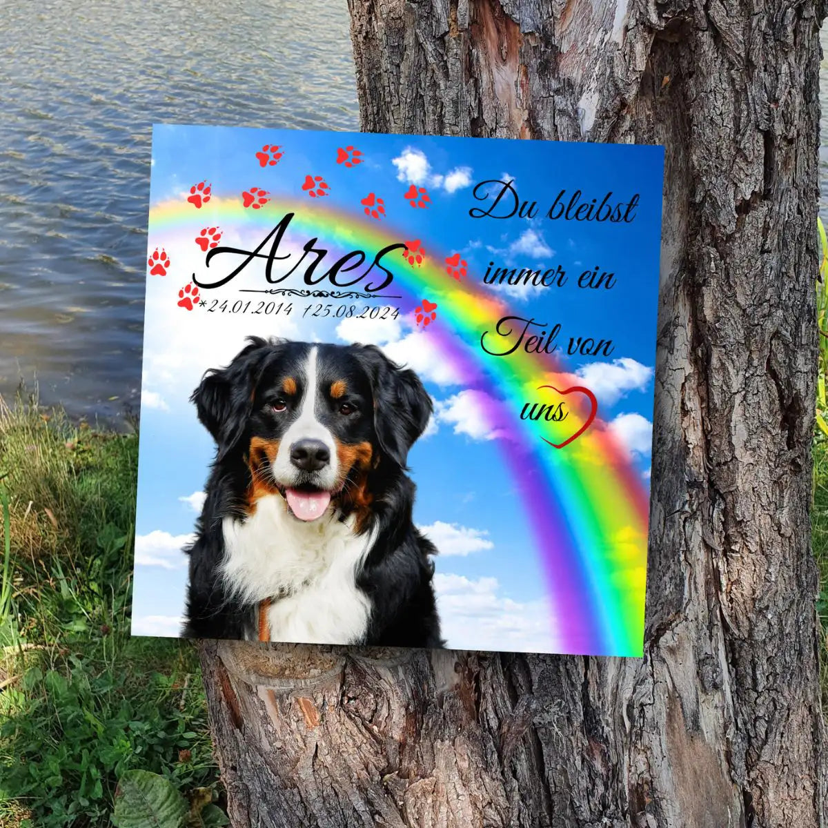 Tiergrabstein mit Regenbogen & Foto – personalisiert & wetterfest.