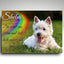 Personalisierte Gedenktafel für Hunde mit Westie-Portrait auf Wiese, Regenbogenmotiv sowie Name und Lebensdaten, wetterfest auf Alu-Dibond gedruck