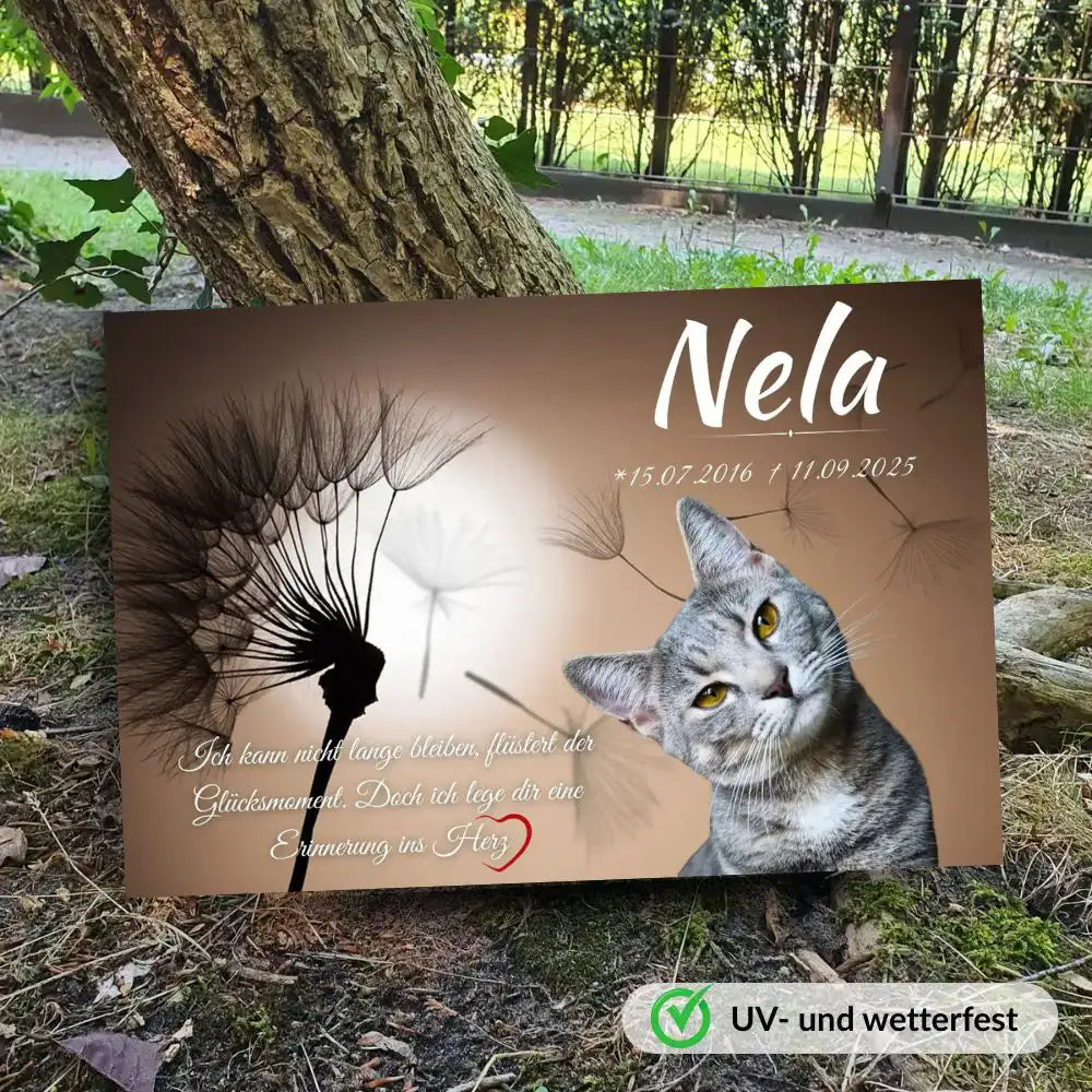 Gedenktafel für Katzen mit Pusteblume und Foto – persönlicher Abschied im Außenbereich