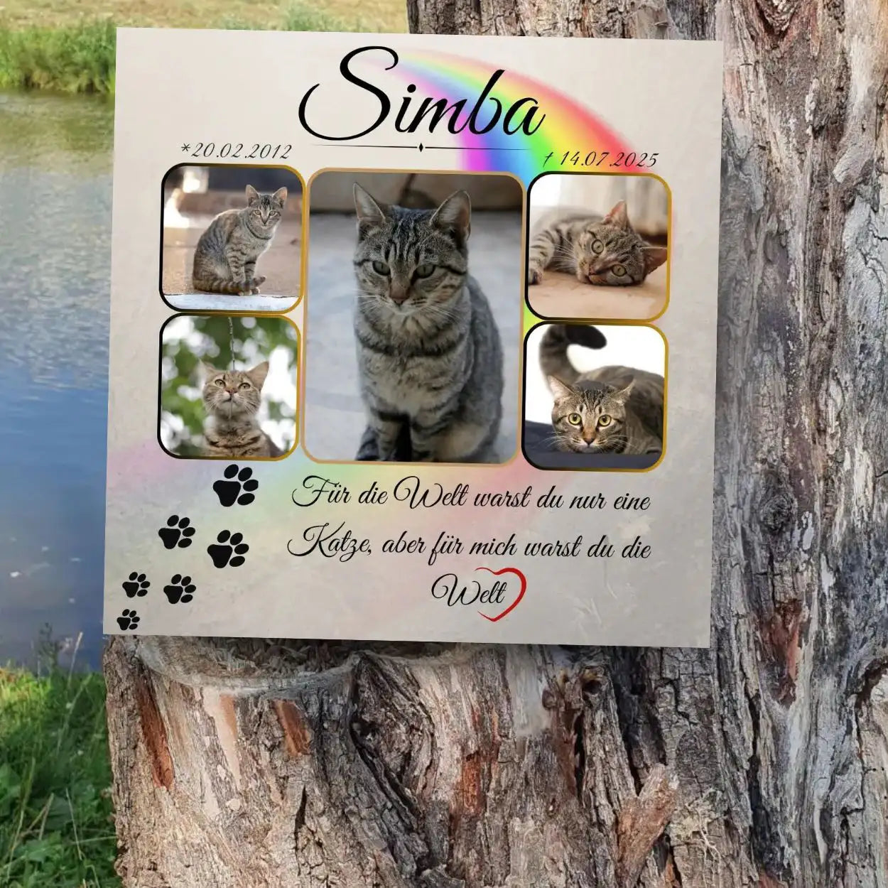 Gedenktafel Katze mit mehreren Fotos – wetterfester Katzengrabstein aus Alu-Dibond im Garten am Katzengrab