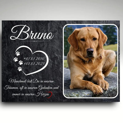 Wetterfeste Grabplatte Hund in Schiefer-Optik mit Foto eines Labradors, Namen und Lebensdaten, personalisierte Tiergrabstein aus Alu Dibond