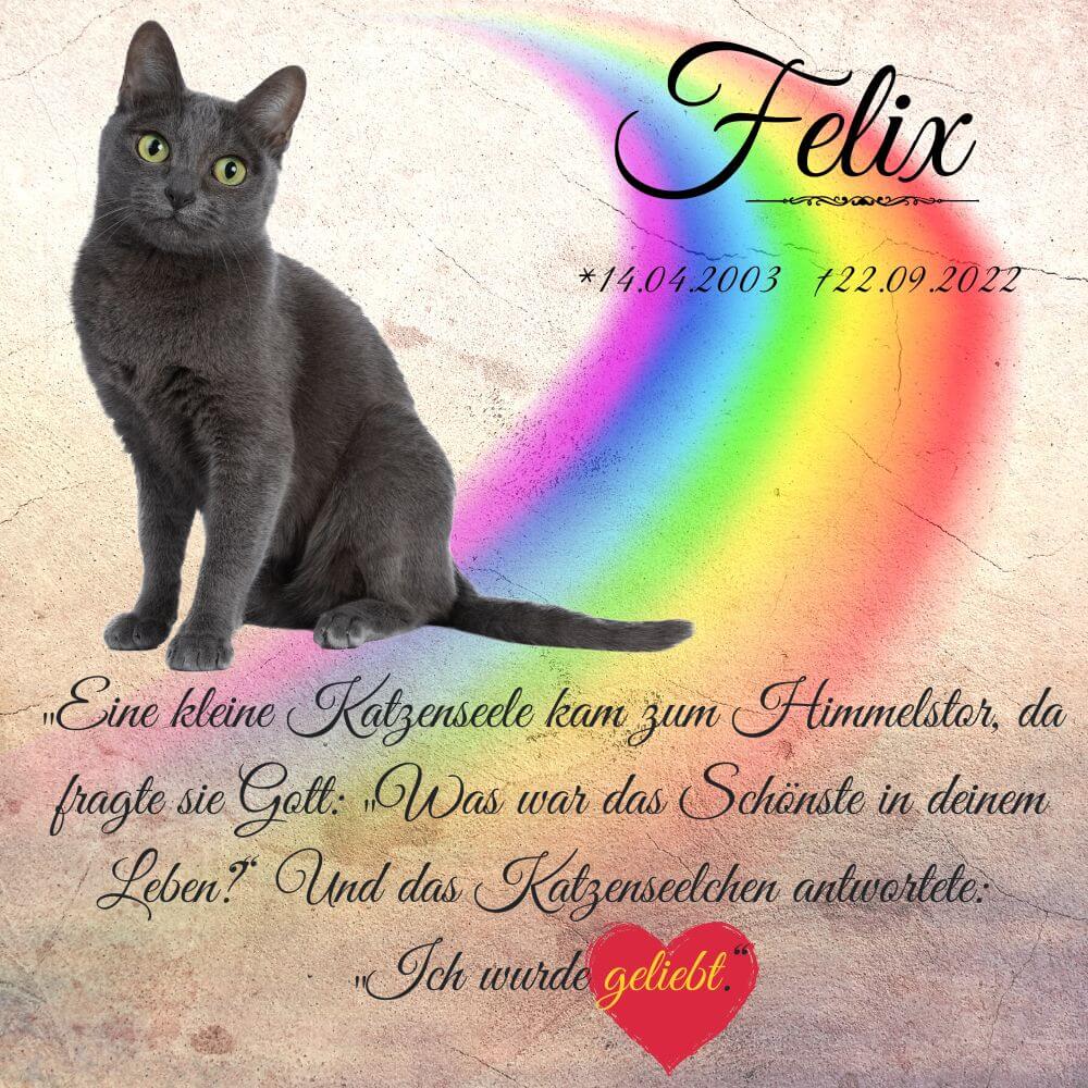 Schwarze Katze auf einen Tiergrabstein mit Regenbogen und Daten der Katze.
