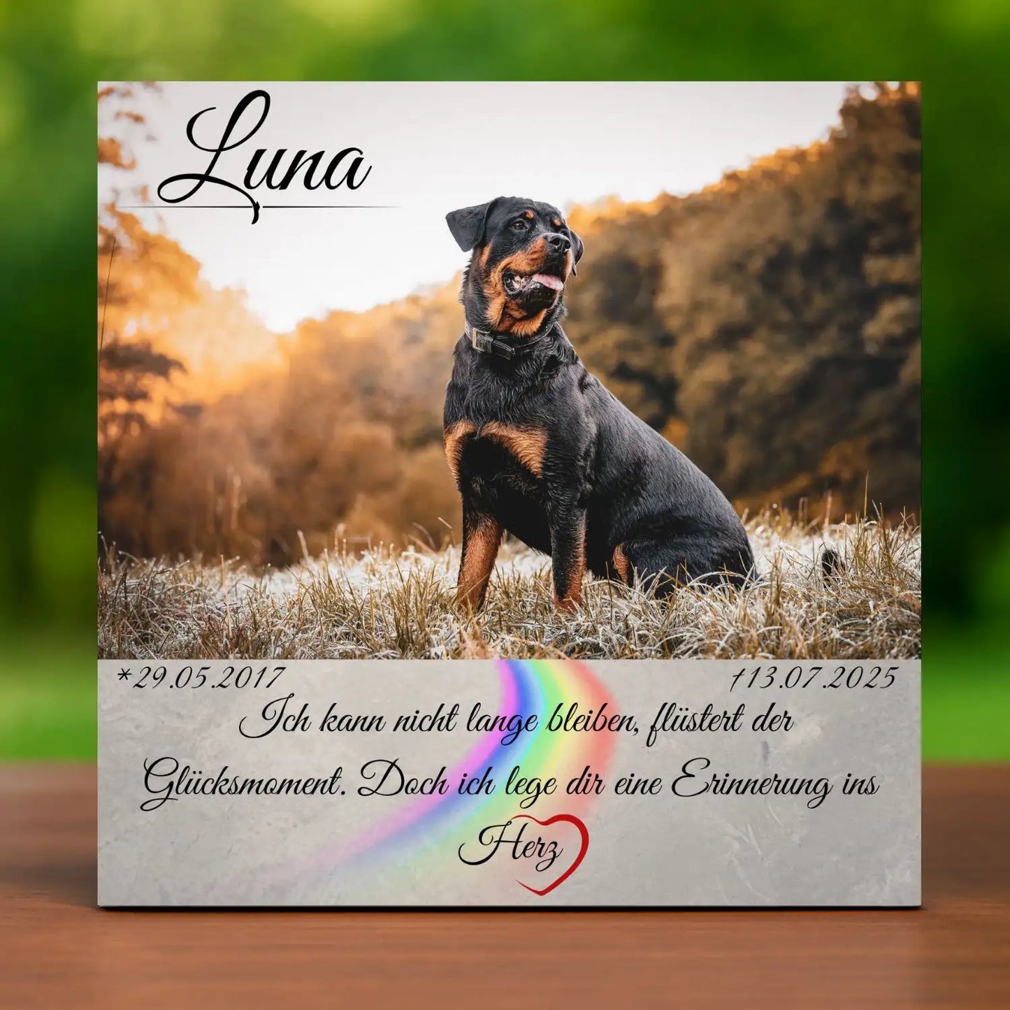 Grabstein für Hunde mit Foto und Namen – Gedenktafel für draußen