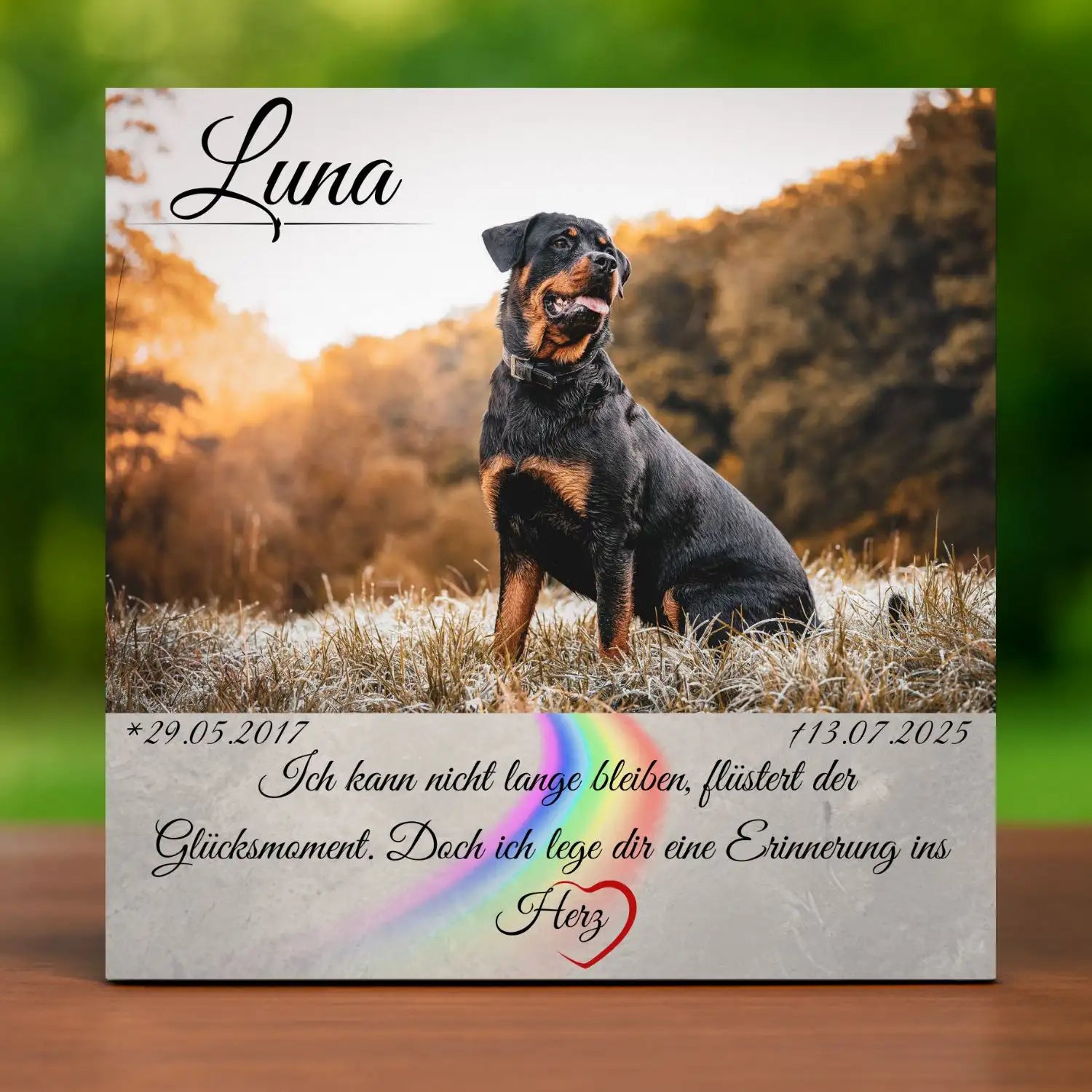 Grabstein für Hunde mit Foto und Namen – Gedenktafel für draußen