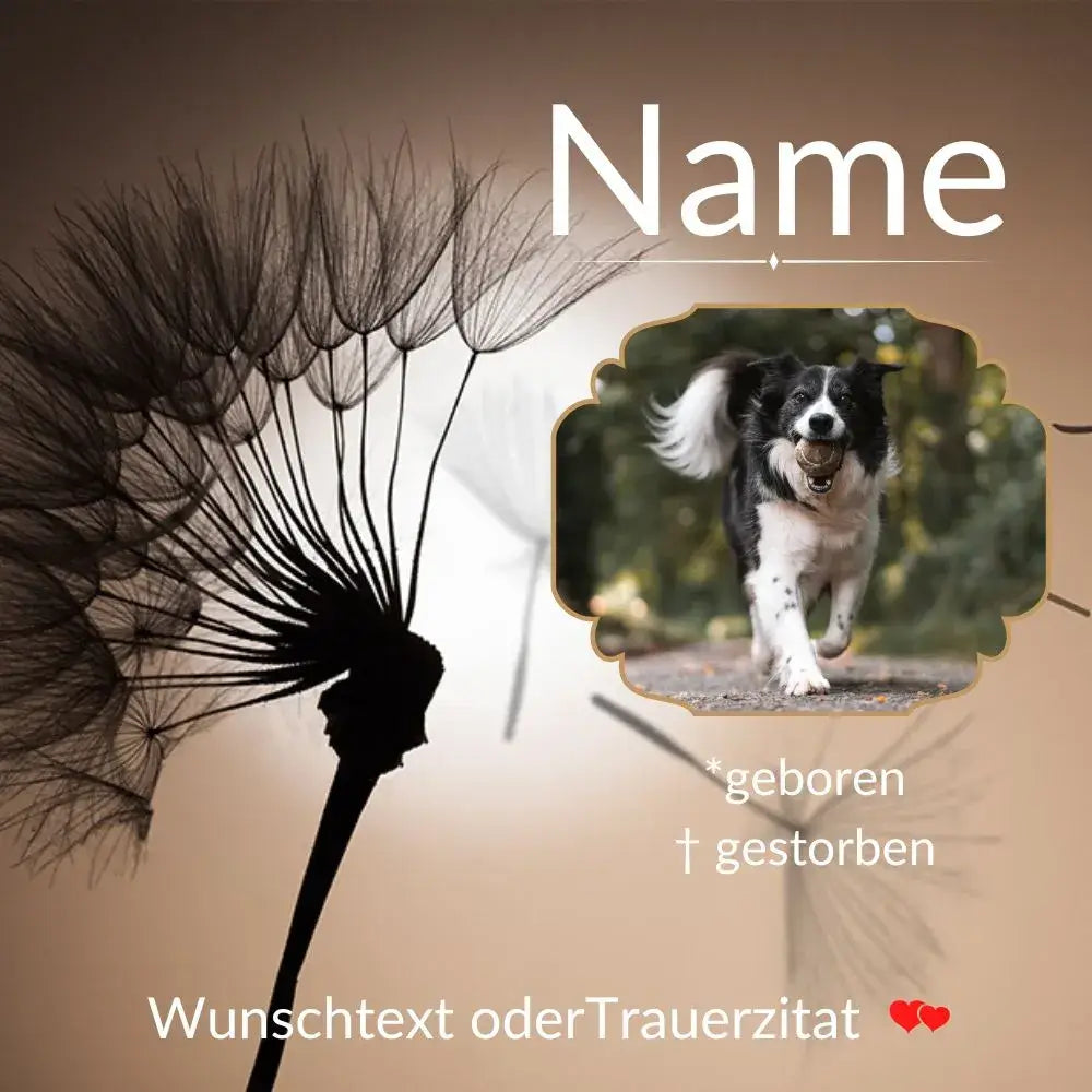 Vorlage für personalisierten Tiergrabstein mit Pusteblume, Foto, Name und Daten.