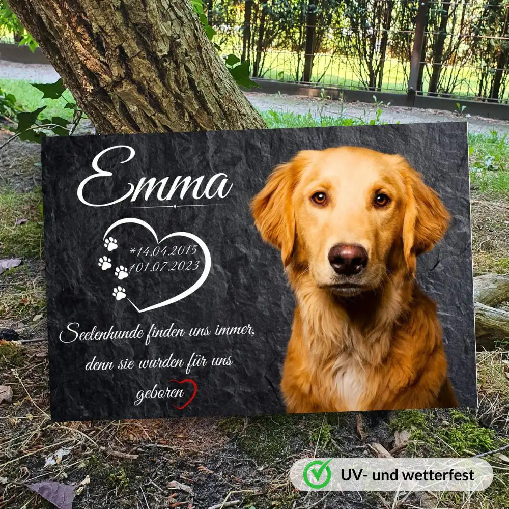 Grabstein Hund in Schiefer Optik mit Hundebild Name und Datum und Platz für persönlichen Wunschtext