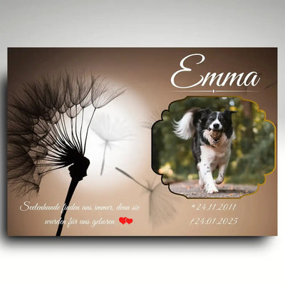 Grabstein Hund mit Pusteblume aus Alu Dibond mit Foto Name und Daten als liebevolle Erinnerung an dein verstorbenes Haustier