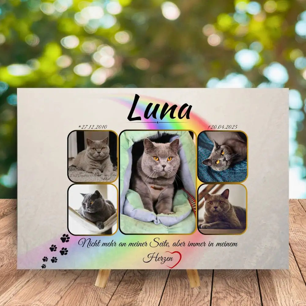 Grabstein Katze mit Bildern, gestaltetes Katzen Andenken mit Bildauswahl, Katzenpfotenmotiv und Trauerzitat