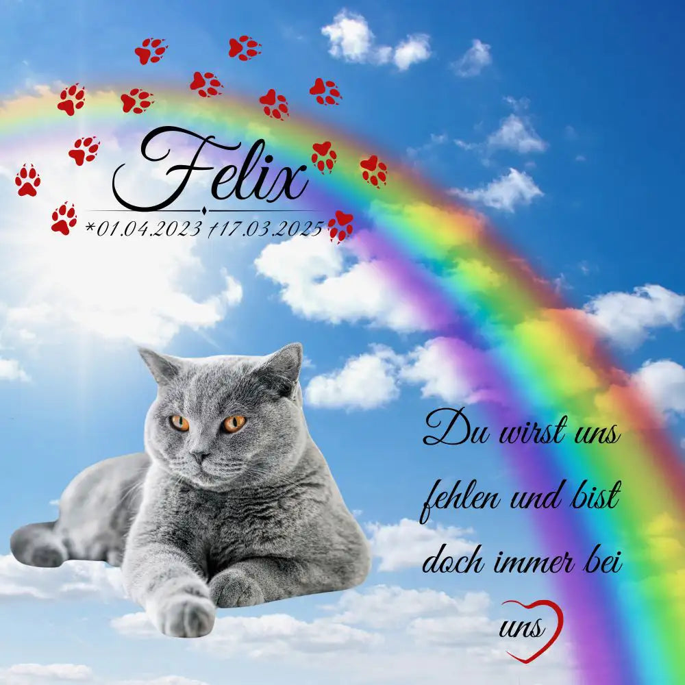 Gedenktafel und Grabstein für Katze mit Regenbogenbrücke – graue Katze vor blauem Himmel und bunten Regenbogenfarben als Symbol des Katzenhimmels