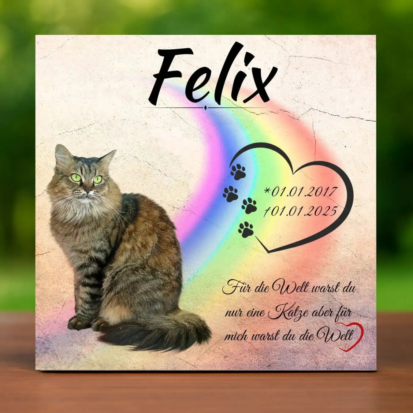 Grabstein Katze mit Foto gestaltet – wetterfestes Tier Andenken an verstorbene Katzen