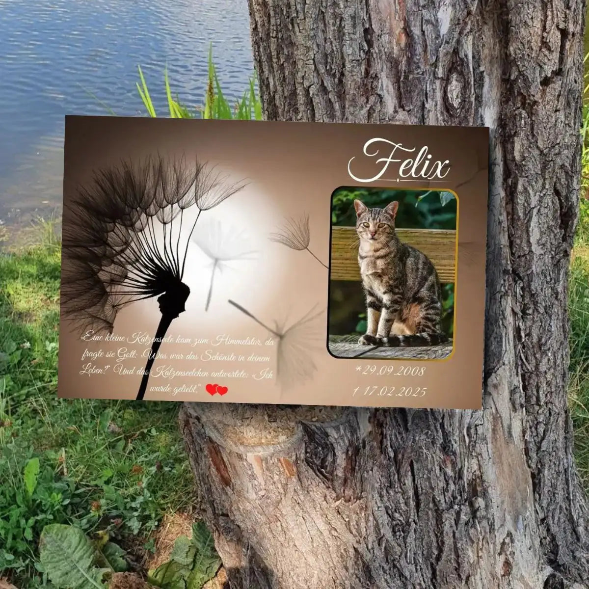 Tiergrabstein Katze mit Pusteblume – personalisierte Gedenktafel aus Alu-Dibond, wetterfest auf dem Tierfriedhof