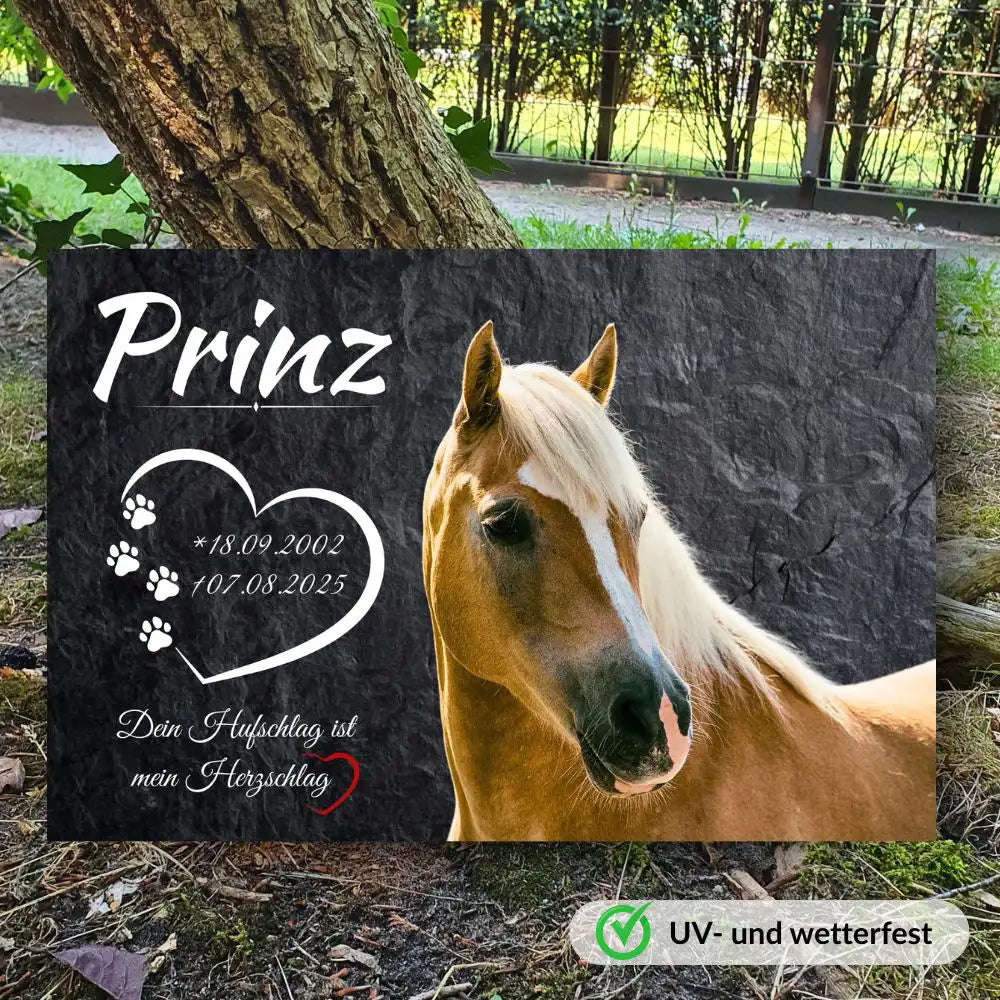 Grabstein Pferd in Schiefer Optik mit Pferdeportrait und Herzrahmen draußen am Pferdefriedhof