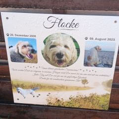 Gedenktafel von einem Hund mit Name und persönlicher Wunschtext. Tiergrabstein mit vier Bildern von dem verstorbenen Hund.
