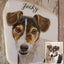 Ein Gemälde mit dem Namen, Geburtstag und Todestag eines Hundes auf einem Trauerstein aus Marmor. Neben dem Gedenkstein steht das Originalfoto des gemalten Hundes.