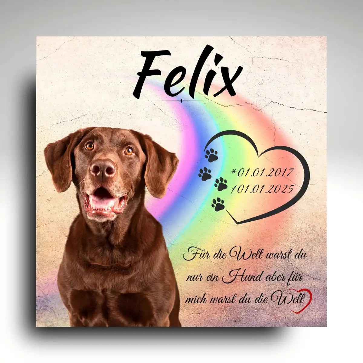 Hundegrabstein mit braunem Labrador vor Regenbogen und Herzmotiv, personalisierte Gedenktafel mit Foto, Name und Lebensdaten aus Alu-Dibond