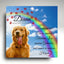 Hundegrabstein mit Regenbogenbrücke, quadratische Gedenktafel mit Golden Retriever, Pfotenmotiv und Lebensdaten aus Alu-Dibond