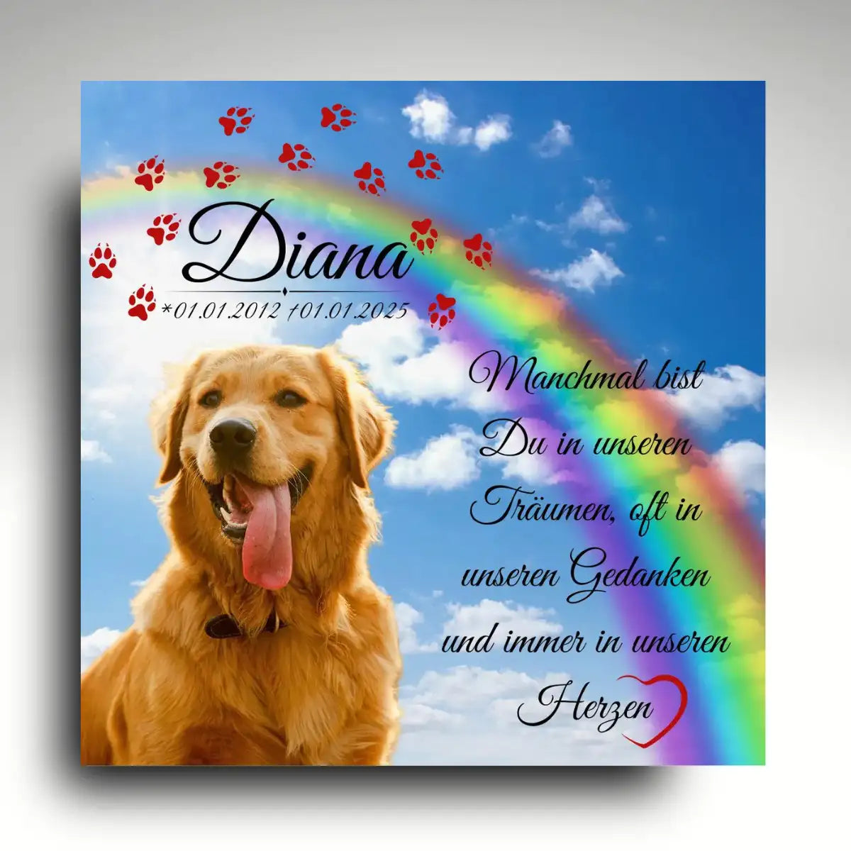 Hundegrabstein mit Regenbogenbrücke, quadratische Gedenktafel mit Golden Retriever, Pfotenmotiv und Lebensdaten aus Alu-Dibond