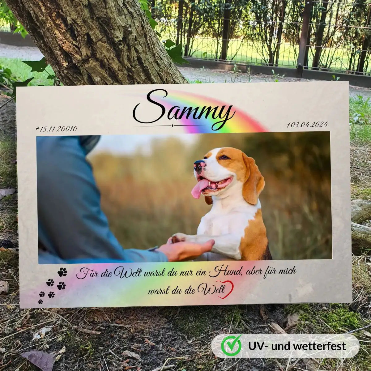 Hundegrabstein mit Regenbogenbrücke, Hundeporträt und Namen – aufgestellt im Freien als personalisierte Gedenktafel zur Erinnerung an einen verstorbenen Hund