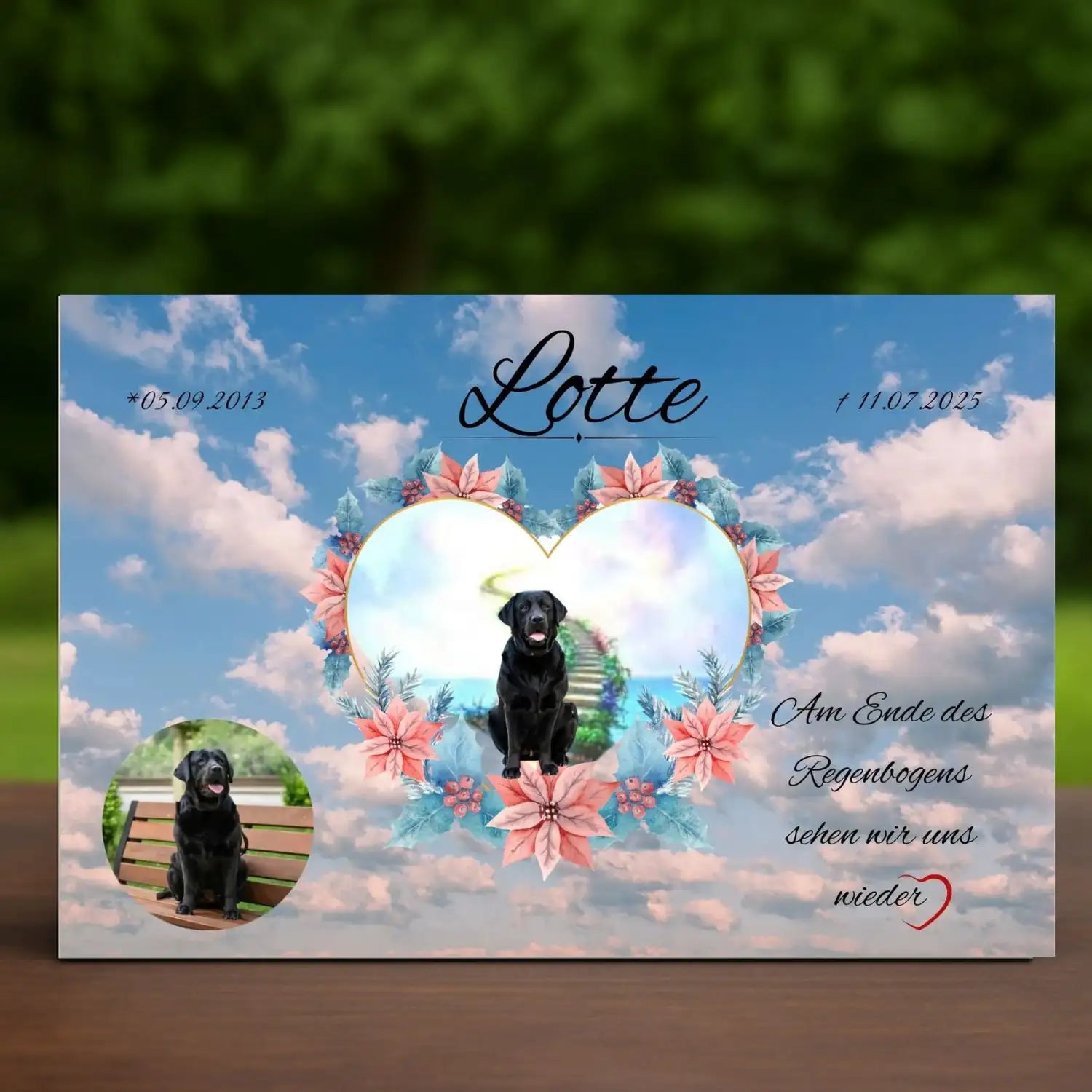Hundegrabstein mit Hundebild und Namen – Regenbogenbrücke als Erinnerung an dein Hundegrab