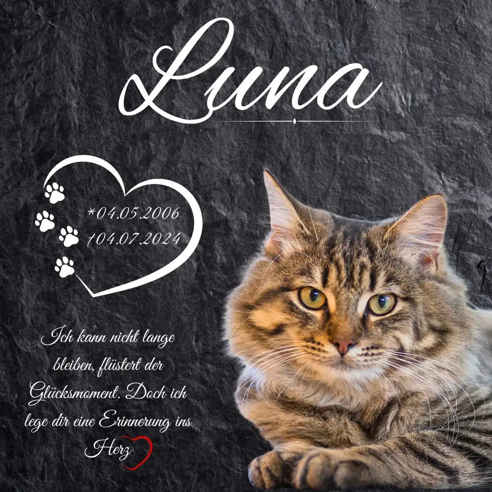 Katzen Grabstein in Schieferoptik mit Katzenfoto, Pfotenherz und Trauerspruch – personalisierte Gedenktafel aus Alu-Dibond für das Katzengrab