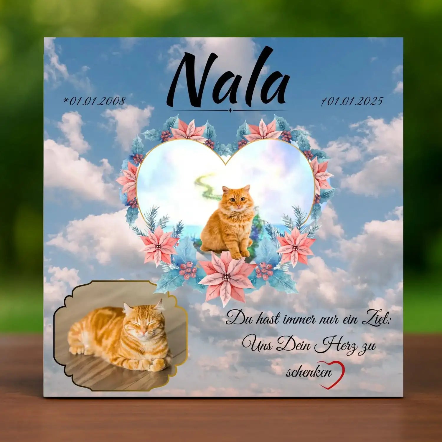 Katzengrabstein mit Foto und Namen – liebevolle Erinnerung an deine Katze an der Regenbogenbrücke