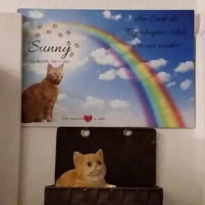 Tierandenken als Gedenktafel mit Regenbogenbrücke, Katzenportrait und Trauerzitat. Das Trauerbild der Katze hängt an der Wand und darunter ist eine rote Keramikkatze.